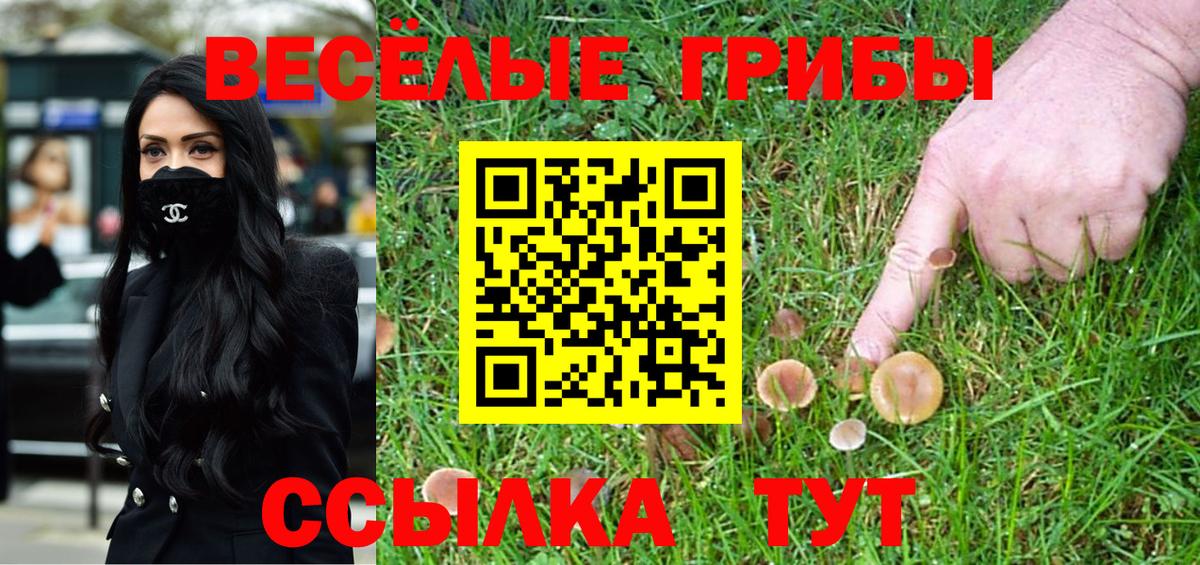 Псилоцибиновые грибы Psilocybine cubensis  Вход с VPN  купить  цена  Грязи  Псилоцибиновые грибы мухоморы 